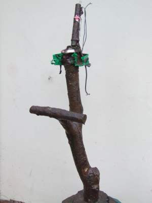 EyeEyeStand 1